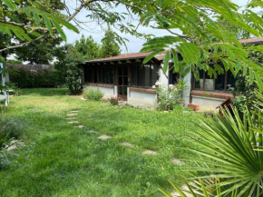 La cabane au fond du jardin